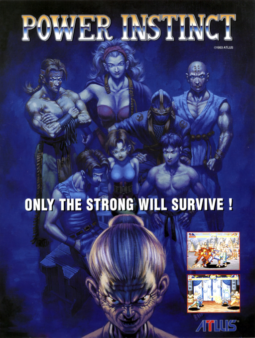 Power Instinct 2 (USA)