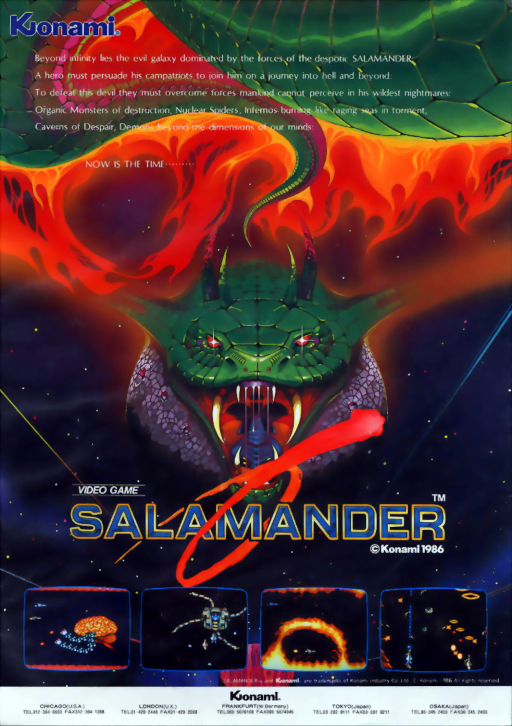 Salamander (version D)
